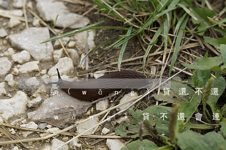 網(wǎng)貸還不還會影響家人嗎(網(wǎng)貸不還會連累家人嗎)