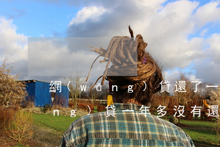 網(wǎng)貸還了一年還不起(網(wǎng)貸一年多沒有還了后面會怎么樣)
