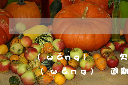網(wǎng)貸還唄欠2萬5逾期了(5個網(wǎng)貸逾期兩個月再還)