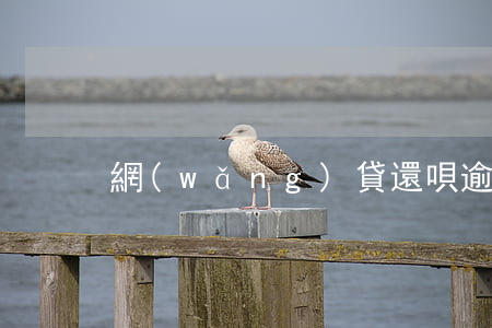 網(wǎng)貸還唄逾期了怎么辦