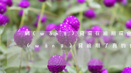 網(wǎng)貸還在逾期還會上門嗎-網(wǎng)貸逾期了真的會上門嗎