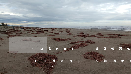 網(wǎng)貸還完又欠怎么辦(欠了很多網(wǎng)貸 不知道怎么還了)