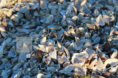 網(wǎng)貸還未逾期就開始催收(網(wǎng)貸逾期了暫時還不上,會上門催收嗎?)