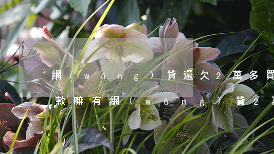 網(wǎng)貸還欠2萬多買房可以辦貸款嘛(有網(wǎng)貸2萬能貸款買房嗎)