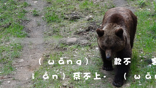網(wǎng)貸還款不銷賬客服也聯(lián)系不上-網(wǎng)貸不能還款,聯(lián)系不到客服