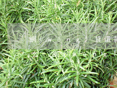網(wǎng)貸還款到催收公司賬戶可以么-網(wǎng)貸還款到催收公司賬戶可以么