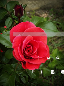 網(wǎng)貸還款后再次借出會(huì)查征信嗎-網(wǎng)貸還款后再次借出會(huì)查征信嗎有影響嗎
