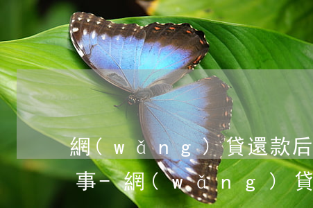 網(wǎng)貸還款后貸不出來了怎么回事-網(wǎng)貸還款之后借不出了怎么回事