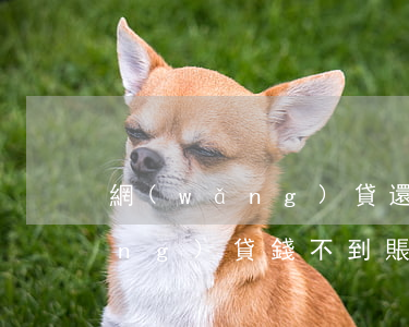 網(wǎng)貸還款后顯示欠賬(網(wǎng)貸錢不到賬還款賬單還出來了)