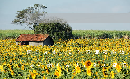 網(wǎng)貸還款必須用自己的銀行卡嗎-網(wǎng)貸還款必須用自己的銀行卡嗎安全嗎