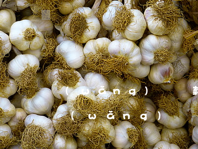 網(wǎng)貸還款方式怎么還，全面解析：網(wǎng)貸還款方式的選擇與操作指南