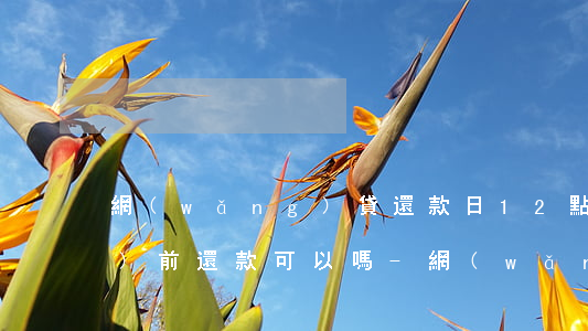 網(wǎng)貸還款日12點(diǎn)前還款可以嗎-網(wǎng)貸還款日12點(diǎn)前還款可以嗎