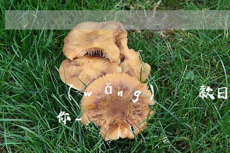 網(wǎng)貸還款日期過了幾天會通知你-