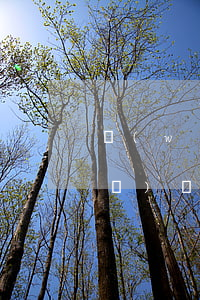 網(wǎng)貸還款時(shí)發(fā)現(xiàn)APP登錄不上-網(wǎng)貸還款時(shí)發(fā)現(xiàn)app登錄不上怎么辦