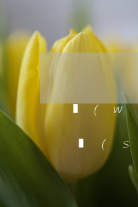 網(wǎng)貸還款晚了幾個(gè)小時(shí)會(huì)上征信嗎-網(wǎng)貸還款晚了幾個(gè)小時(shí)會(huì)上征信嗎知乎