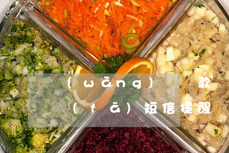網(wǎng)貸還款沒成功會(huì)發(fā)短信提醒嗎-