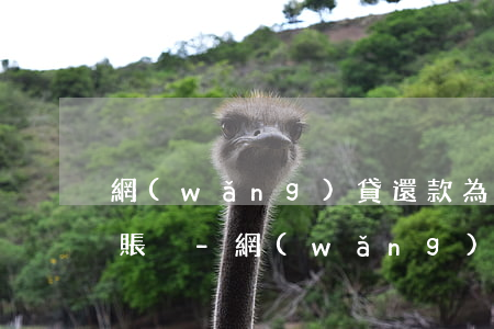 網(wǎng)貸還款為什么必須要用對公賬戶-網(wǎng)貸還款為什么必須要用對公賬戶還款
