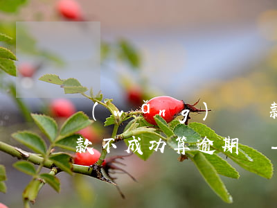 網(wǎng)貸還款當(dāng)日還款不成功算逾期嗎-網(wǎng)貸還款當(dāng)日還款不成功算逾期嗎怎么辦