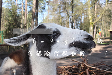 網(wǎng)貸還款結(jié)束后如何解除代理合同-網(wǎng)貸還款結(jié)束后如何解除代理合同呢