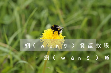 網(wǎng)貸還款賬單突然沒了什么情況-網(wǎng)貸還款賬單突然沒了什么情況啊
