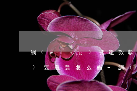 網(wǎng)貸還款軟件打不開(kāi)要還款怎么辦-網(wǎng)貸還款軟件打不開(kāi)要還款怎么辦呢