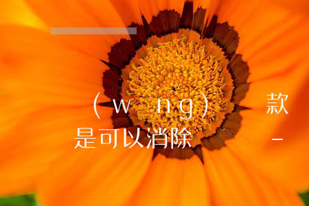 網(wǎng)貸還款轉(zhuǎn)賬是可以消除記錄嗎-網(wǎng)貸還款轉(zhuǎn)賬是可以消除記錄嗎安全嗎