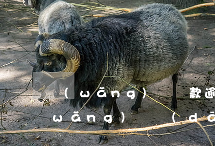 網(wǎng)貸還款逾期一天怎么辦(網(wǎng)貸當(dāng)天還款算逾期不)