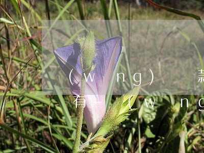 網(wǎng)貸還款還不上可以延期還款沒有-網(wǎng)貸還款還不上可以延期還款沒有逾期嗎