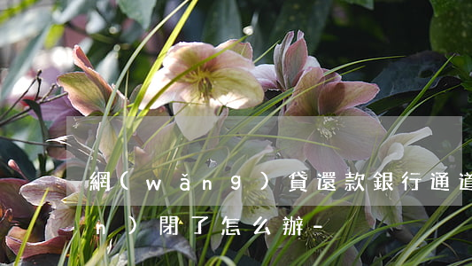 網(wǎng)貸還款銀行通道關(guān)閉了怎么辦-