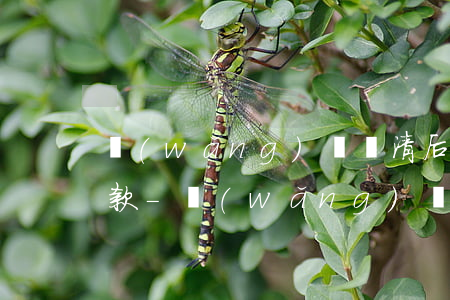 網(wǎng)貸還清后還有人打電話讓還款-網(wǎng)貸還清后還有人打電話讓還款如何解決