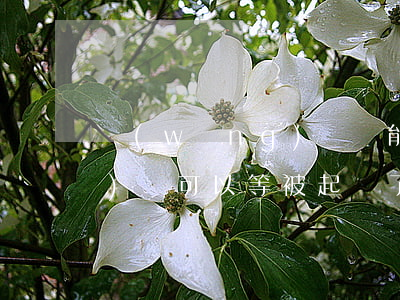 網(wǎng)貸還能起訴嗎(網(wǎng)貸可以等被起訴了再還嗎)