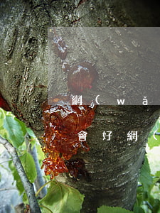網(wǎng)貸部分逾期還完了多久征信會好(網(wǎng)貸逾期多久上征信?后果有多嚴重?)