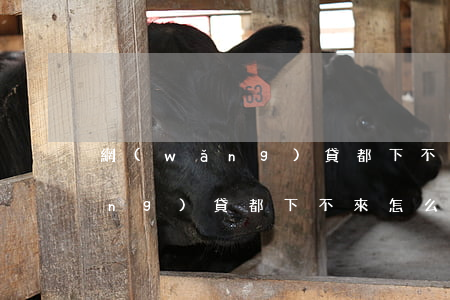 網(wǎng)貸都下不來怎么辦(網(wǎng)貸都下不來怎么辦)