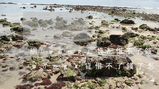 網(wǎng)貸都借不了錢了怎么辦（網(wǎng)貸借不了錢了怎么辦）