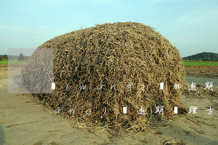 網(wǎng)貸都逾期了怎么處理(網(wǎng)貸逾期處理方法)