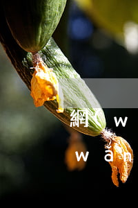 網(wǎng)貸都逾期了會被起訴嗎(網(wǎng)貸都逾期了會被起訴嗎)