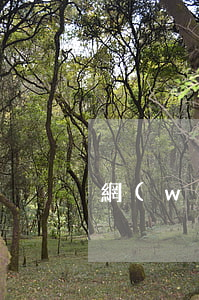 網(wǎng)貸都逾期了該怎么辦