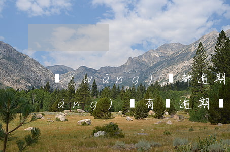 網(wǎng)貸都逾期還可以貸嗎(網(wǎng)貸有過逾期還能下款的網(wǎng)貸)