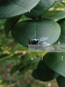 網(wǎng)貸金融逾期立案標(biāo)準(zhǔn)(網(wǎng)貸金融逾期立案標(biāo)準(zhǔn)是多少)