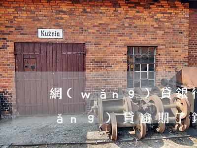 網(wǎng)貸銀行卡丟了怎么辦（網(wǎng)貸逾期了銀行卡掛失補(bǔ)辦）