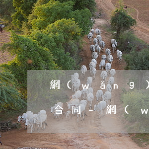 網(wǎng)貸錢沒到賬需要還款嗎簽了合同-網(wǎng)貸錢沒到賬需要還款嗎簽了合同有效嗎