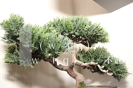 網(wǎng)貸錢還不上怎么辦(如果網(wǎng)貸還不起怎么辦)
