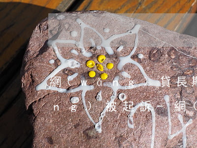 網(wǎng)貸長期逾期不還已經(jīng)被起訴-網(wǎng)貸逾期 被起訴