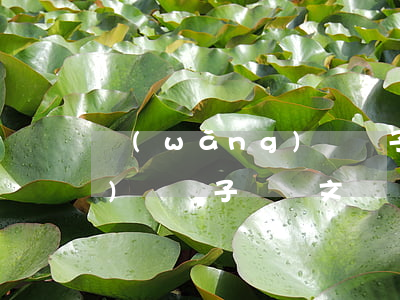 網(wǎng)貸電子起訴函(網(wǎng)貸電子訴訟文書)
