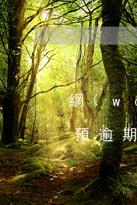 網(wǎng)貸預逾期，網(wǎng)貸預逾期兩年了可以買房嗎