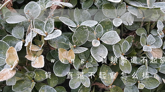 網(wǎng)貸頻繁還不起(網(wǎng)貸一直還不起會怎么樣)