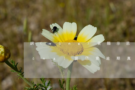 網(wǎng)貸顯示惡意逾期咋辦(網(wǎng)貸惡意逾期真實案例)