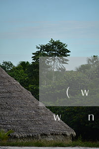 網(wǎng)貸首期就逾期會怎么樣(網(wǎng)貸逾期了半年的后果)