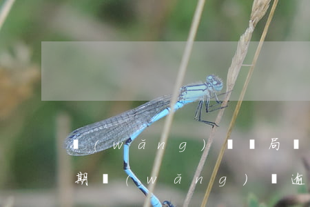 網(wǎng)貸騙局發(fā)短信說逾期(網(wǎng)貸逾期發(fā)短信說起訴了是真的嗎)