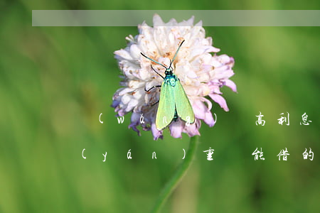 網(wǎng)貸高利息逾期不想還(逾期嚴(yán)重還能借的網(wǎng)貸)